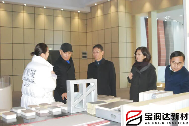 海马集团一行来访宝润达参观考察